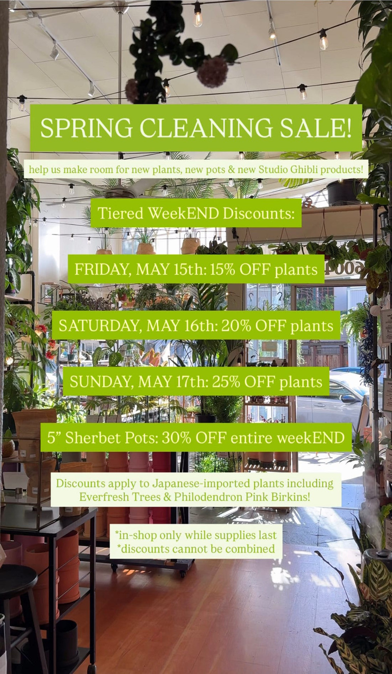 SPRING CLEANING SALE!