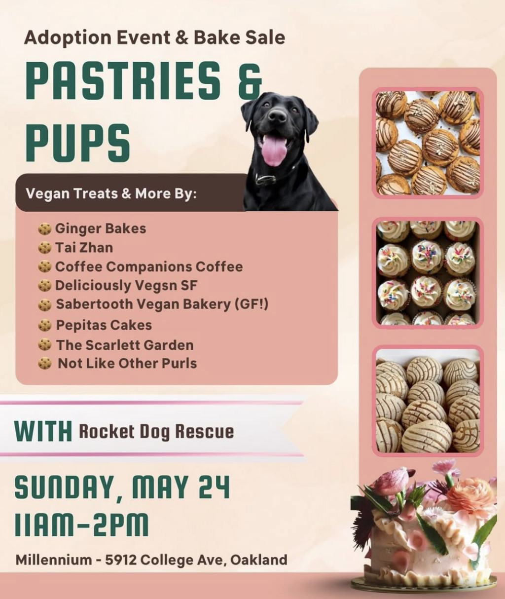 Pastries & Pups