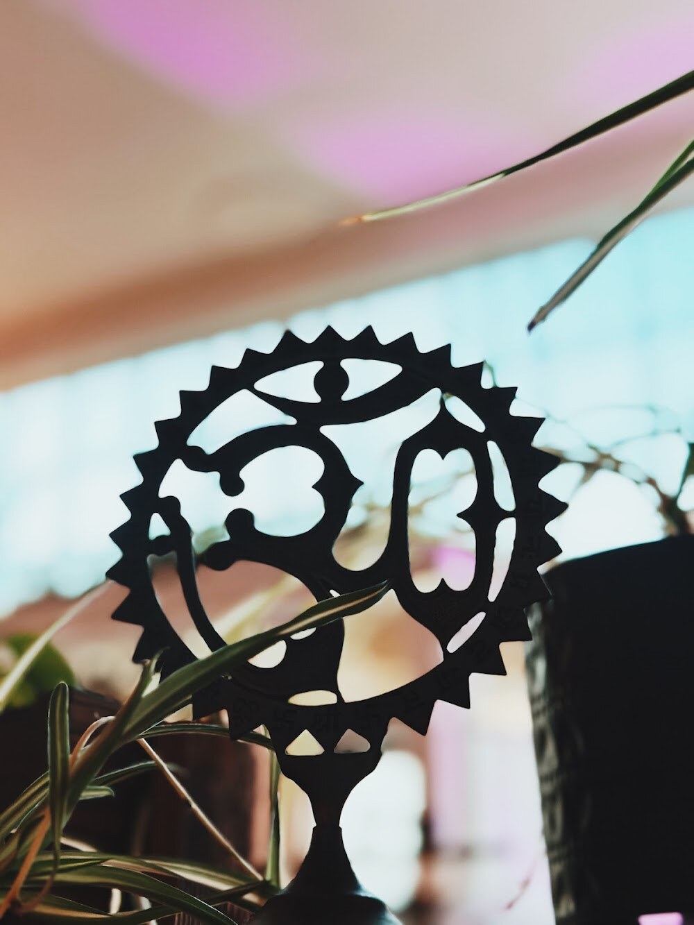 Breathing Room Alameda photo