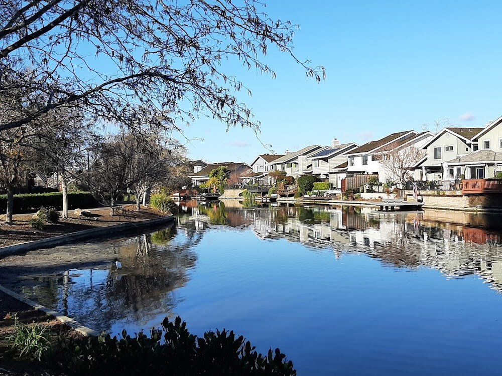Photo of Bay Farm Island