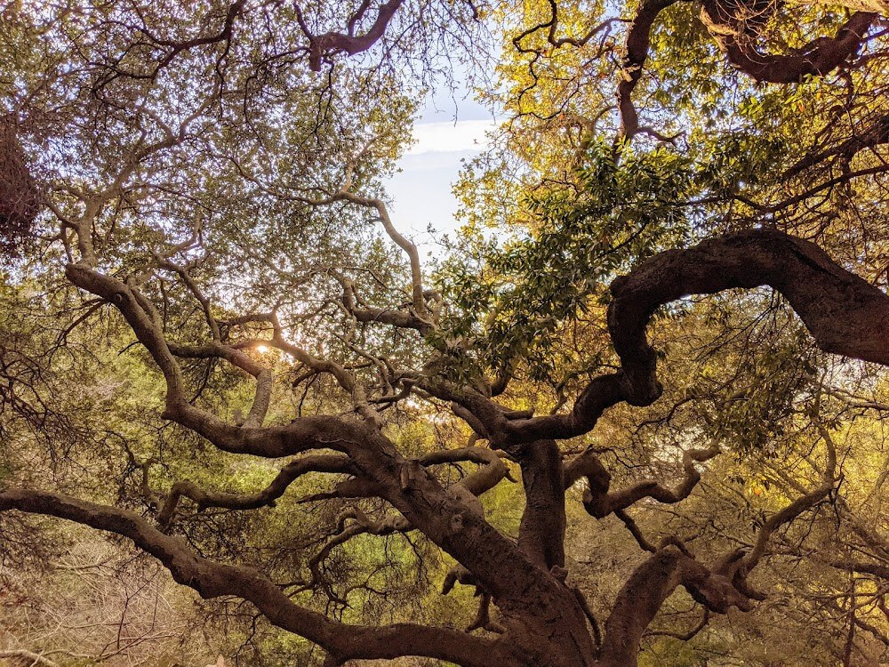 Garber Park photo