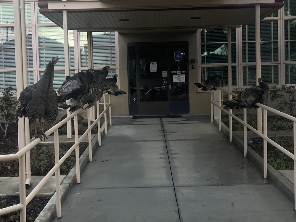 Alameda Mastick Senior Center