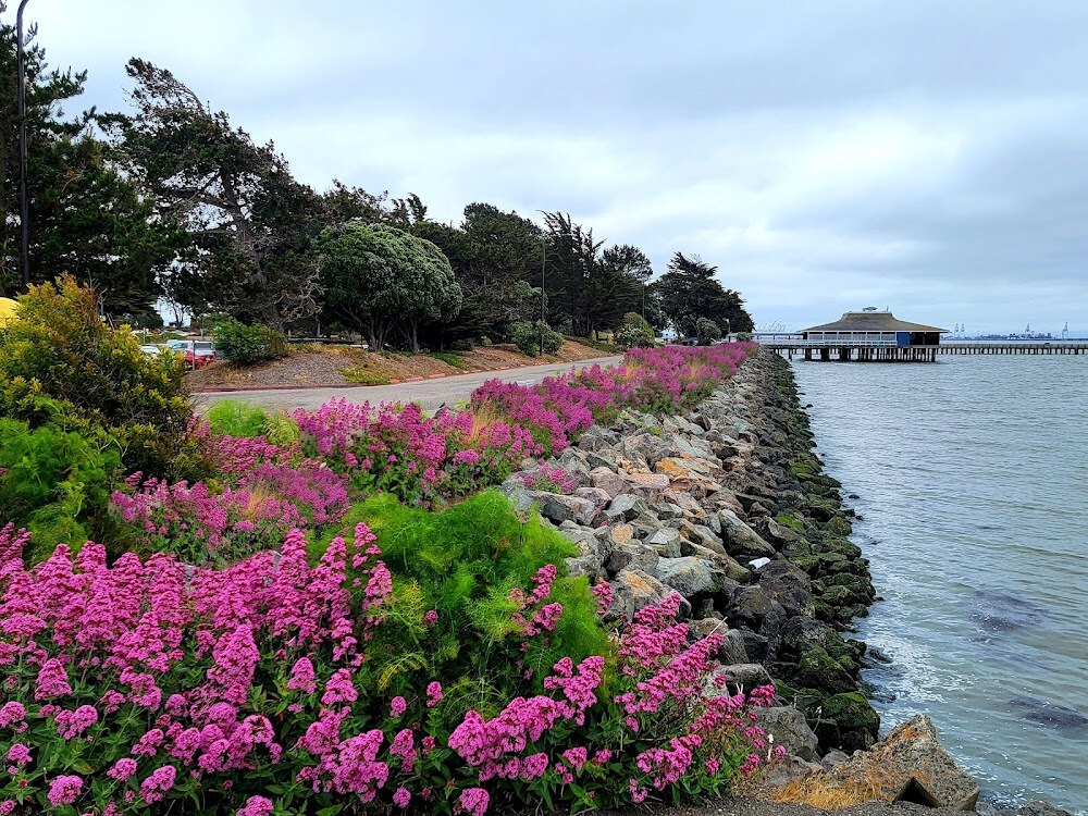 Berkeley Yacht Club photo