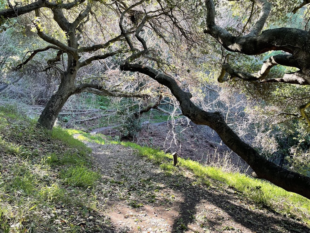 Garber Park photo