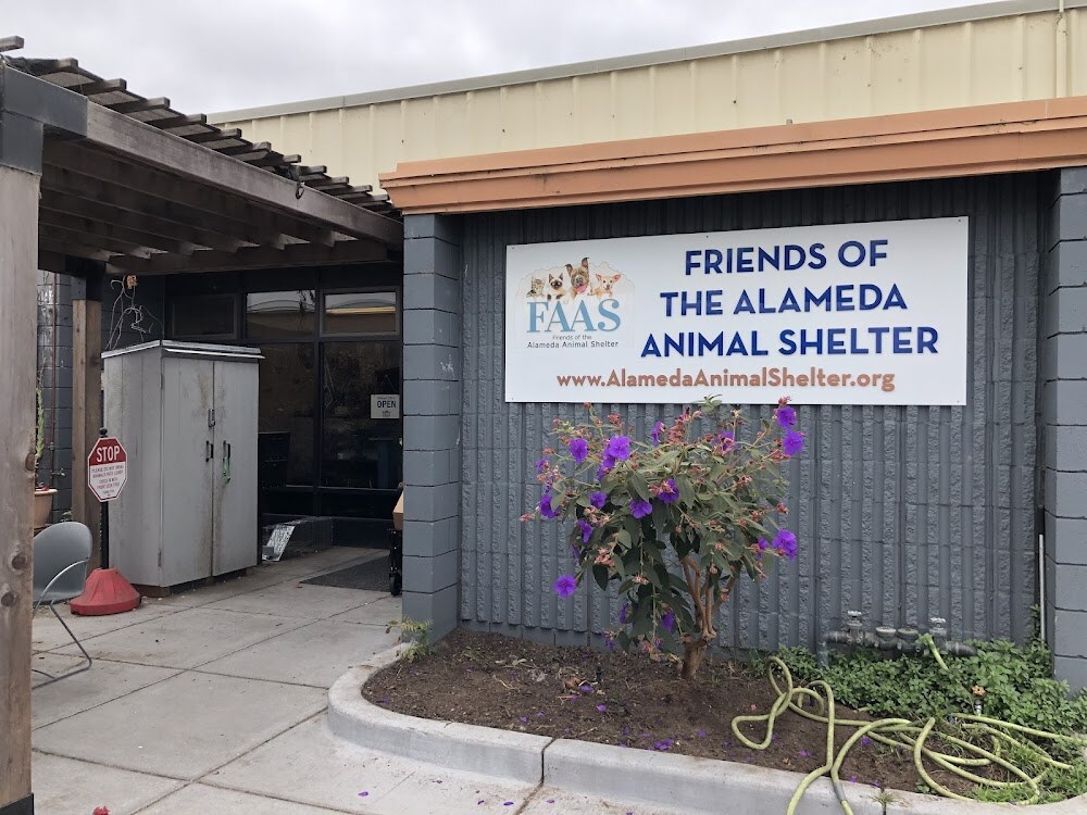 Friends of The Alameda Animal Shelter photo