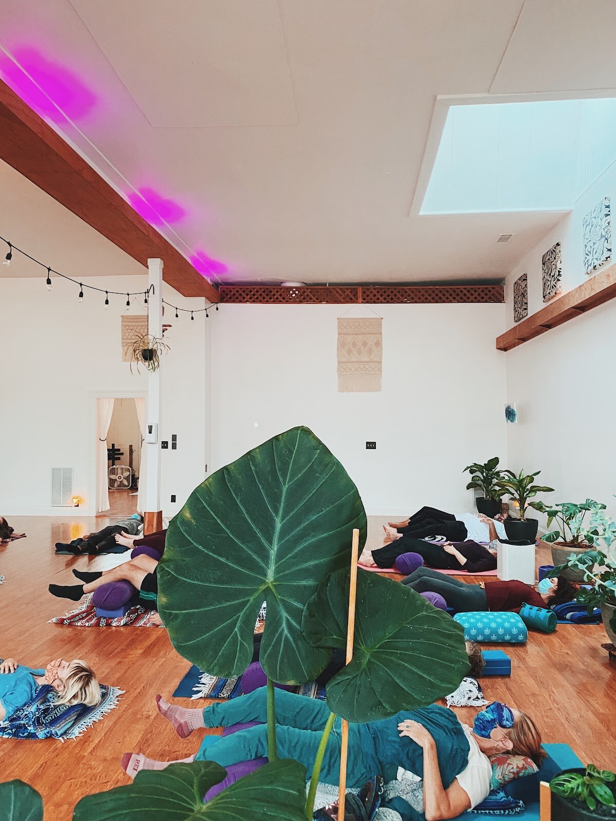 Breathing Room Alameda photo