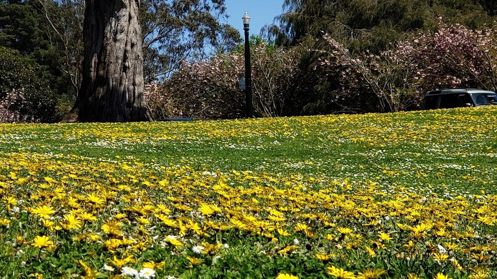 Mothers Meadow photo