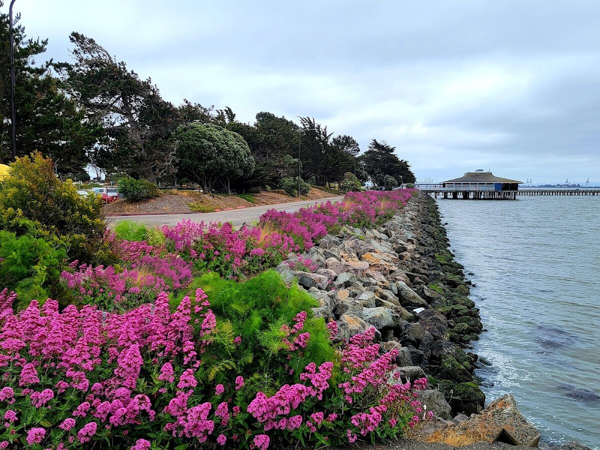 Berkeley Yacht Club photo