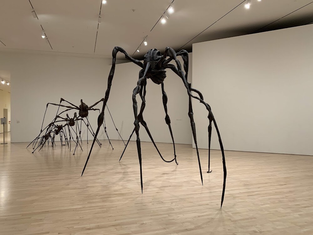 San Francisco Museum of Modern Art photo