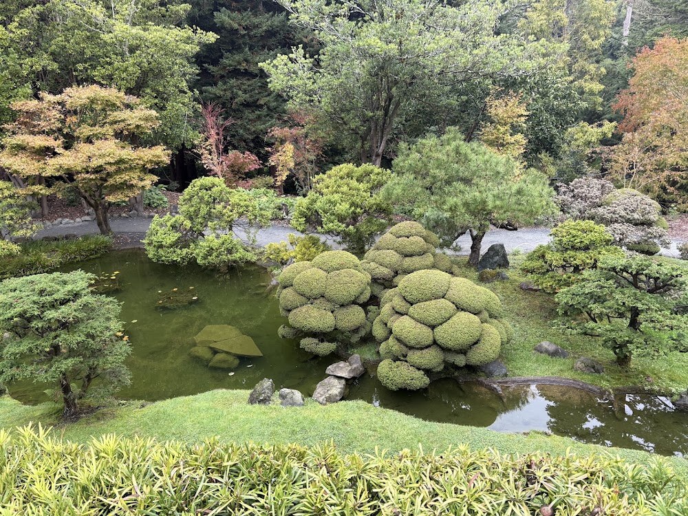 San Francisco City Guides - Free Walking Tours photo