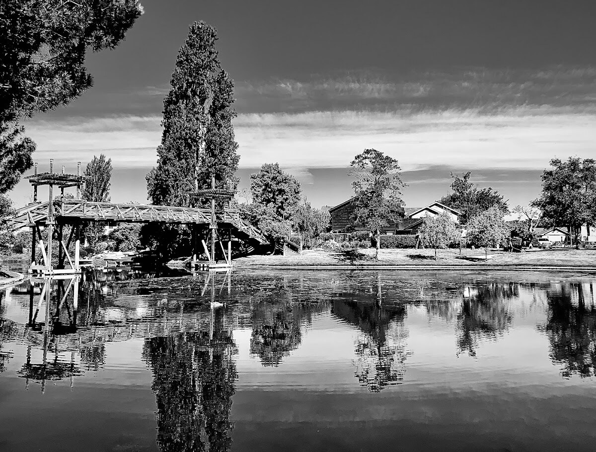 Bay Farm Island photo