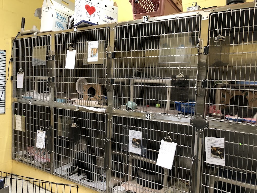 Friends of The Alameda Animal Shelter photo