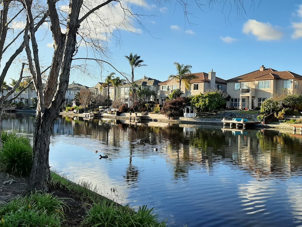 Bay Farm Island photo