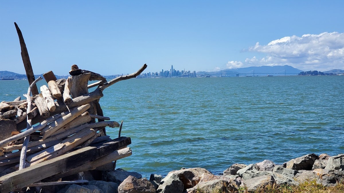 Bay Farm Island photo