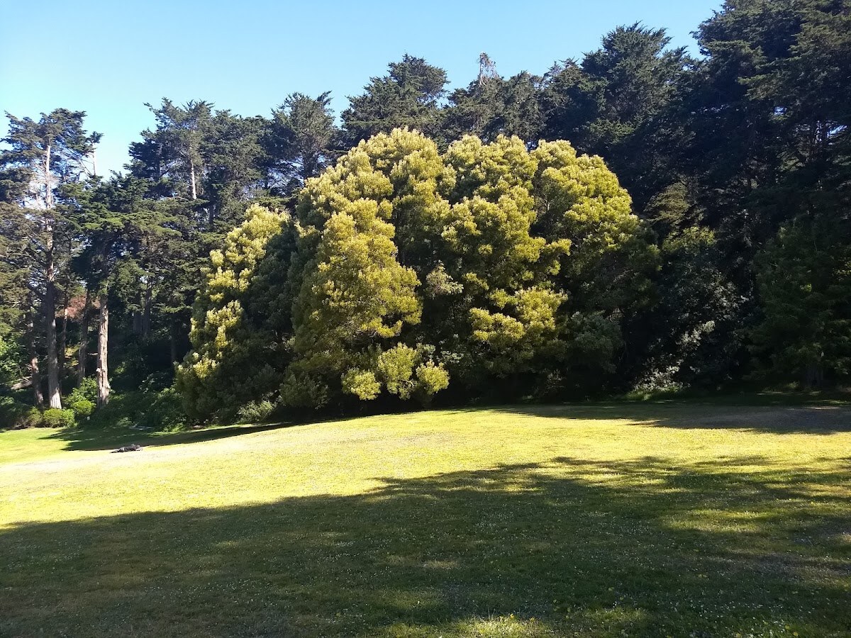 Mothers Meadow photo