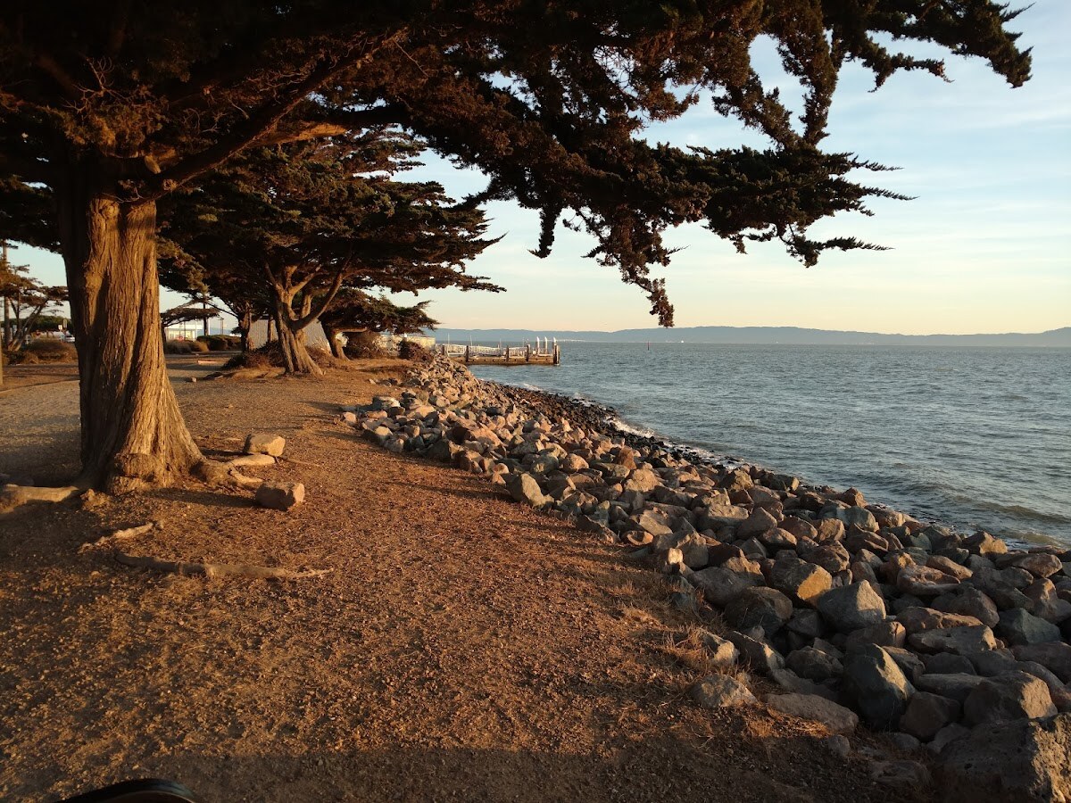 Bay Farm Island photo