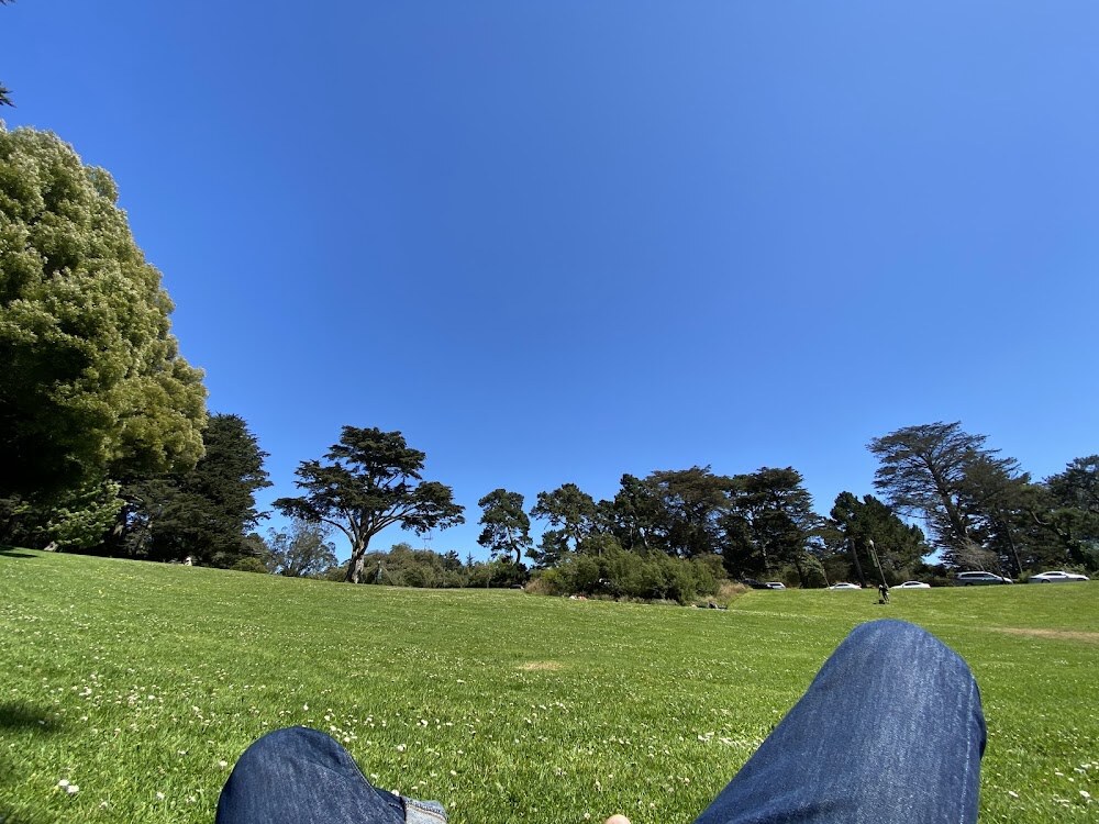 Mothers Meadow photo