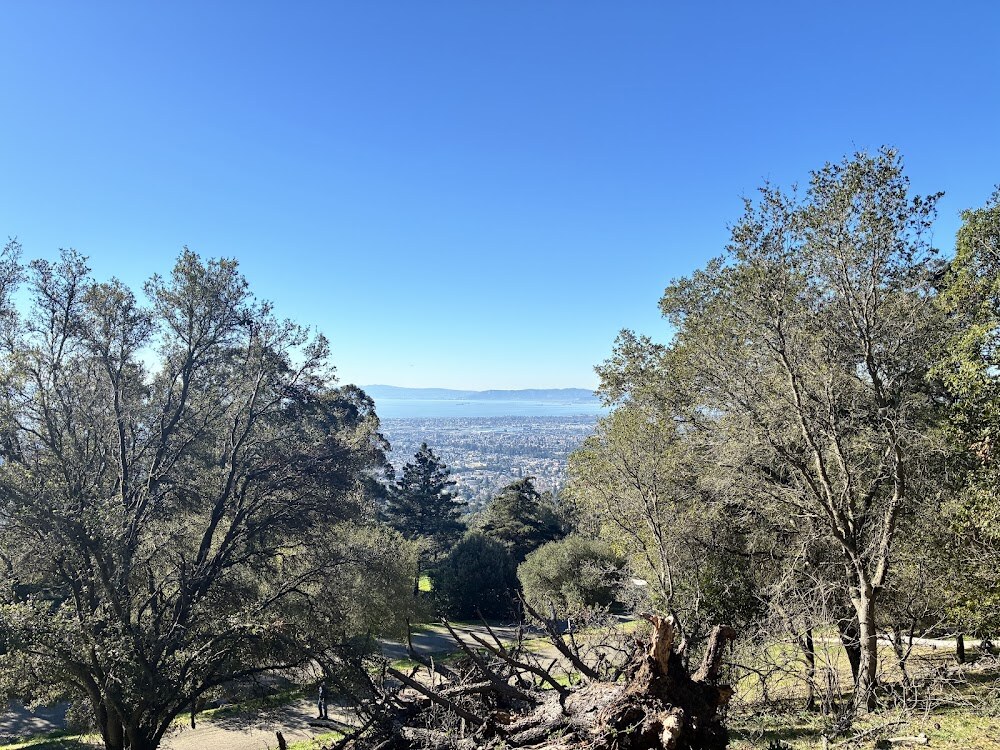 Woodminster Cascade, Joaquin Miller Park photo