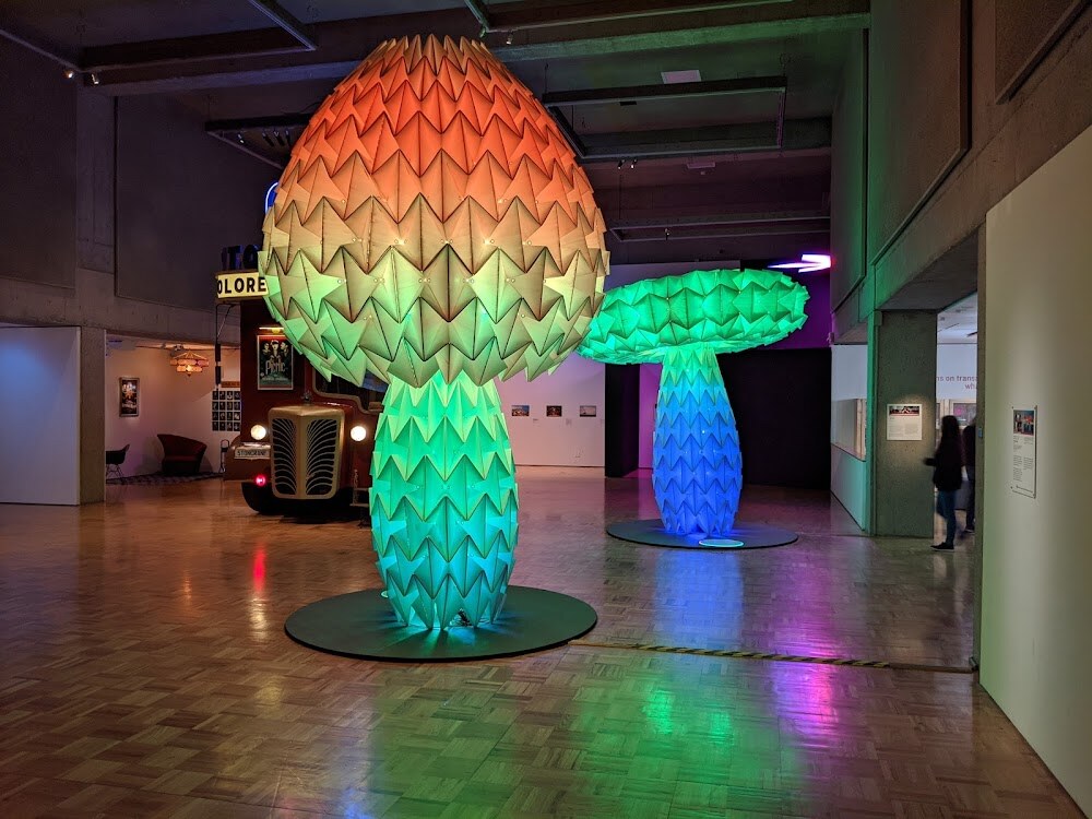 Oakland Museum of California photo