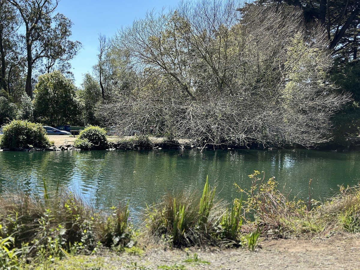 Mothers Meadow photo