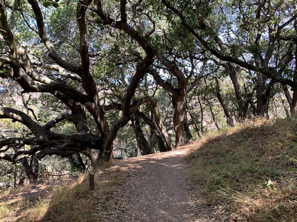 Garber Park photo