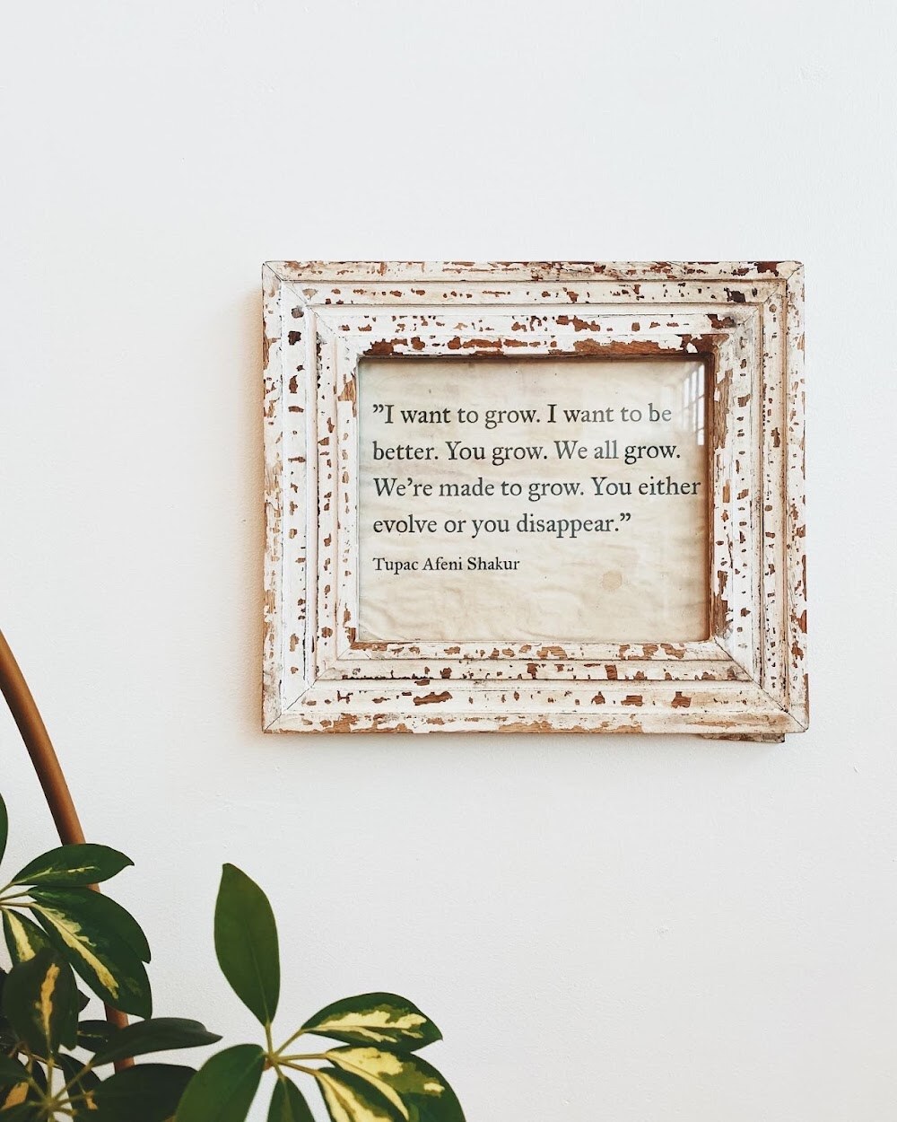 Breathing Room Alameda photo