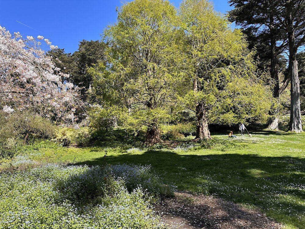 Mothers Meadow photo