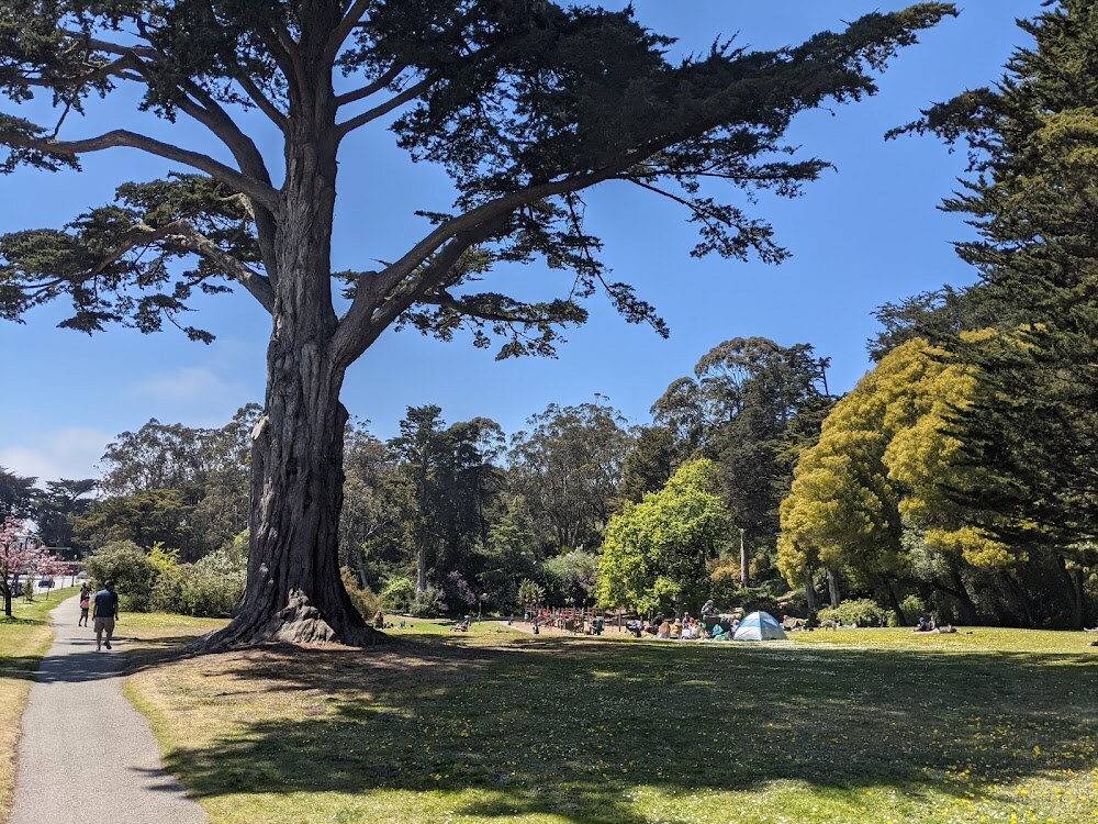 Mothers Meadow photo