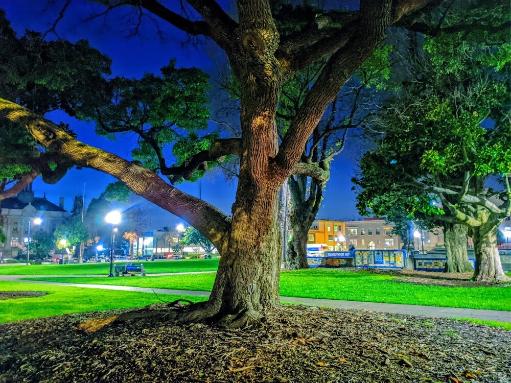 Martin Luther King Jr. Civic Center Park photo