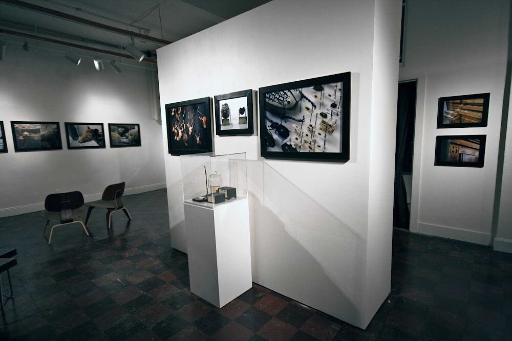 The Compound Gallery photo