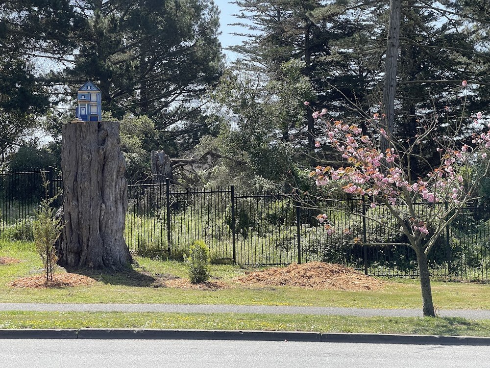 Mothers Meadow photo