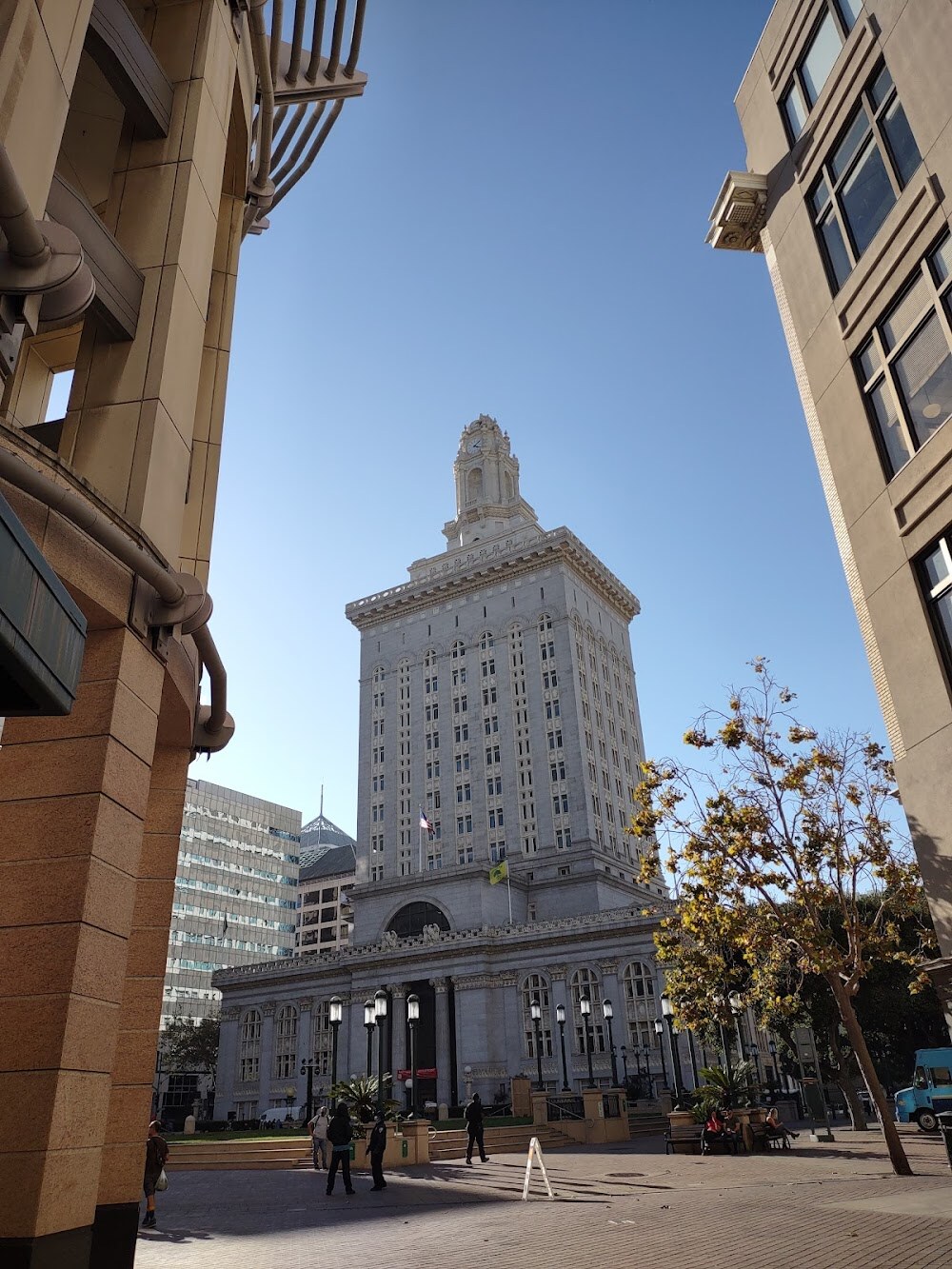 Joyce Gordon Foundation photo