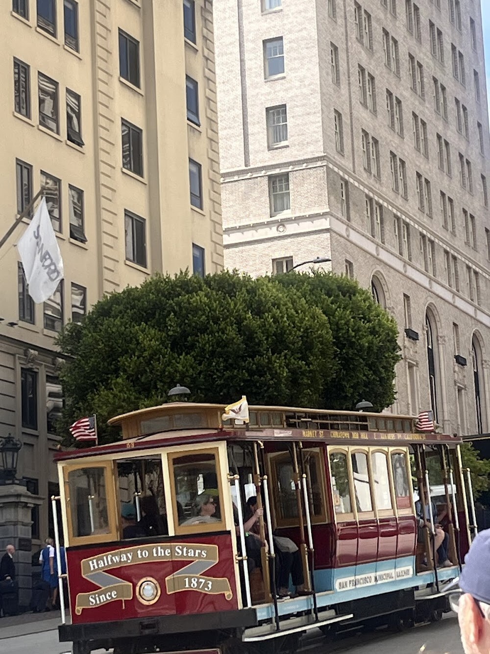 San Francisco City Guides - Free Walking Tours photo