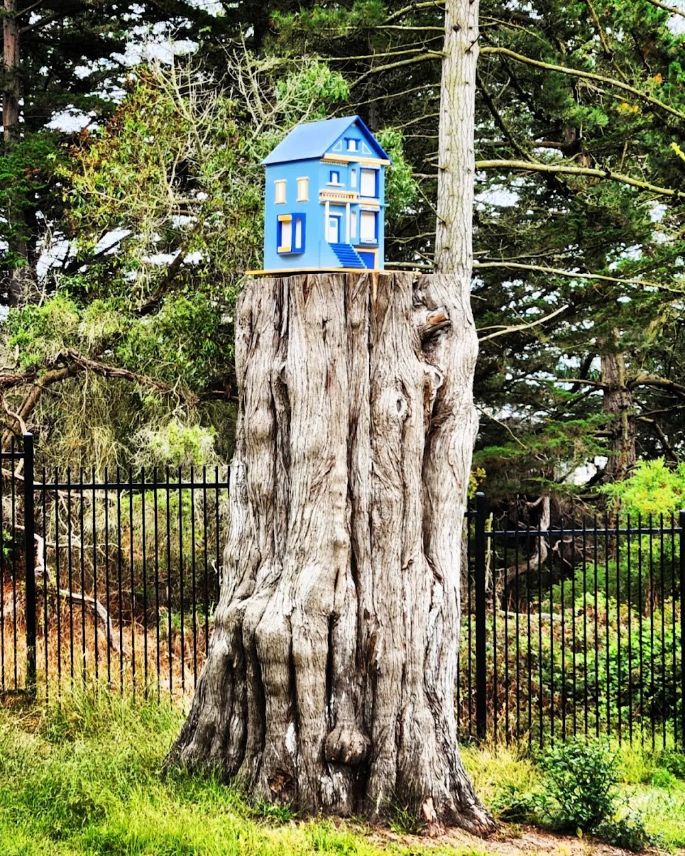 Mothers Meadow photo