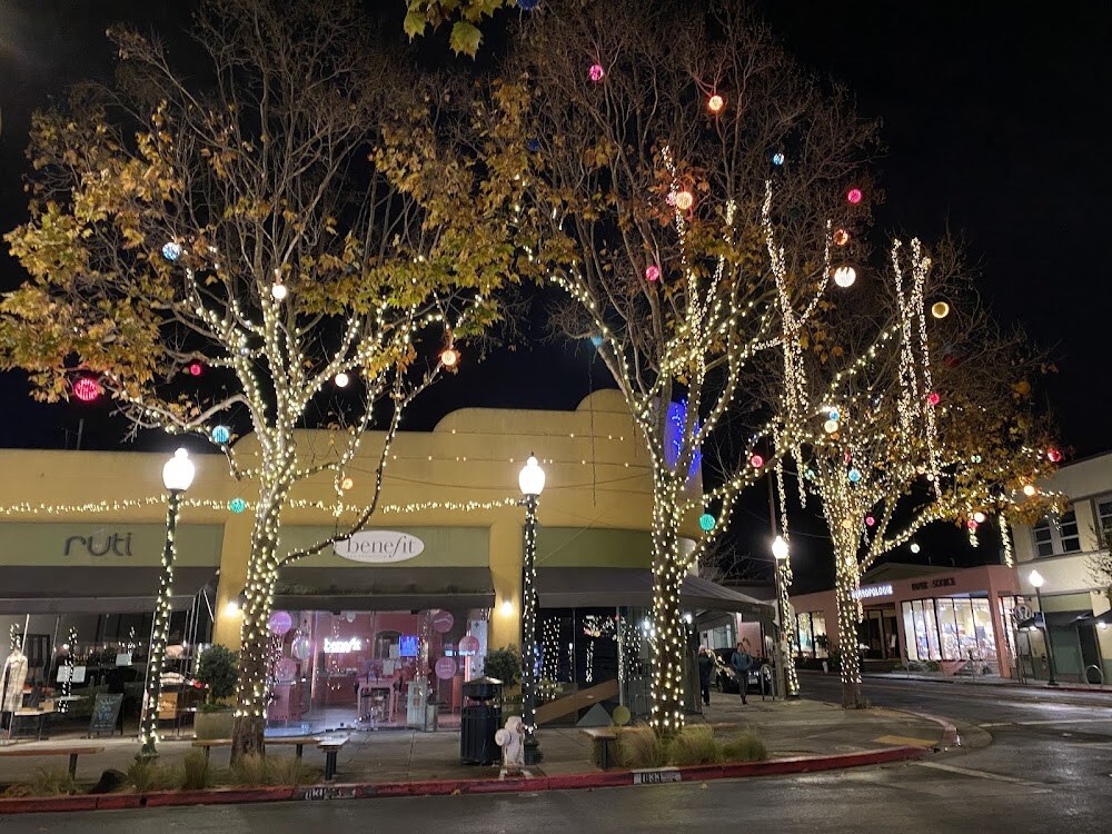 Fourth Street Shops photo