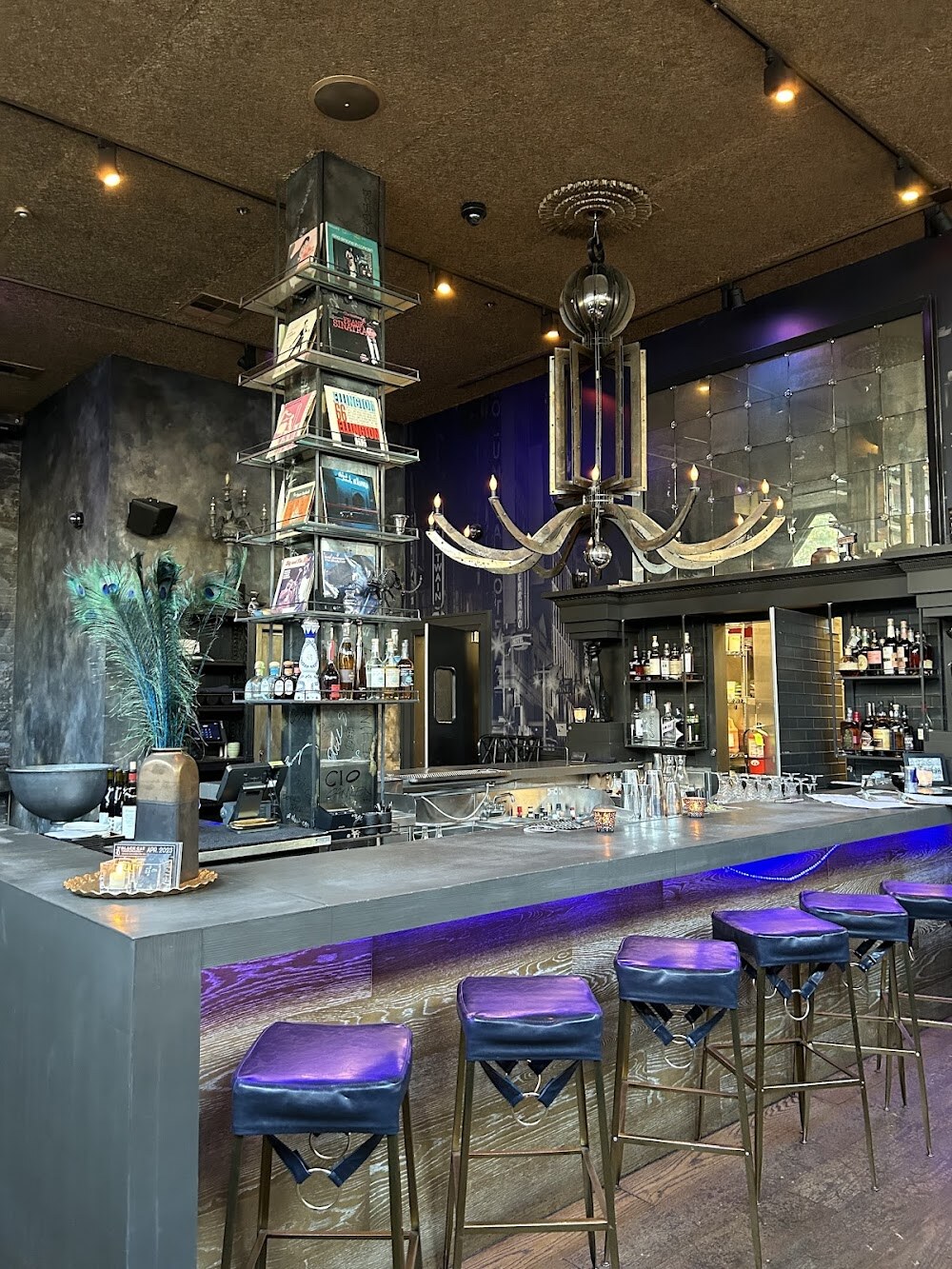 Black Cat Jazz Supper Club photo