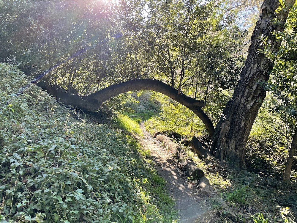 Garber Park photo