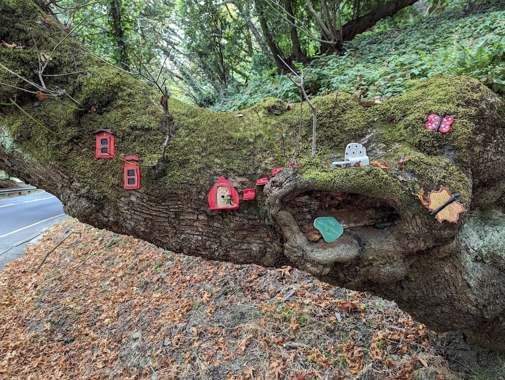 Garber Park photo